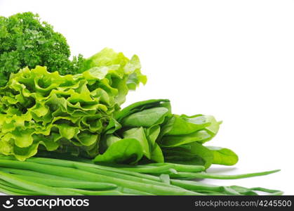 Fresh herbs isolated on white