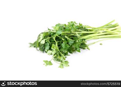 fresh herbs isolated on white