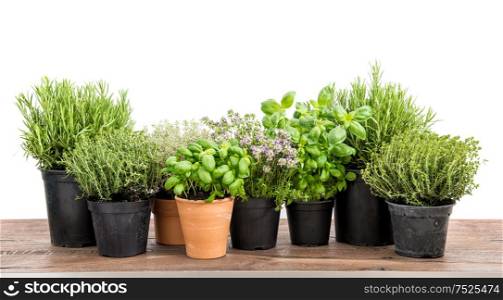 Fresh herbs isolated on white background. Food ingredients. Basil, rosemary, thyme