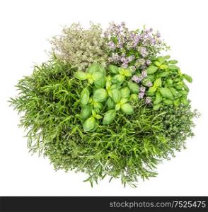 Fresh herbs isolated on white background. Food ingredients. Basil, rosemary, thyme. Top view