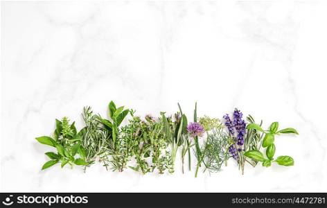 Fresh herbs on marble stone background. Basil, rosemary, sage, thyme, mint, dill, savory, chive, lavender