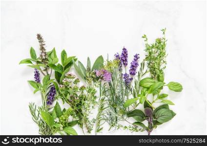 Fresh herbs on marble stone background. Basil, rosemary, sage, thyme, mint, dill, savory, chive, lavender