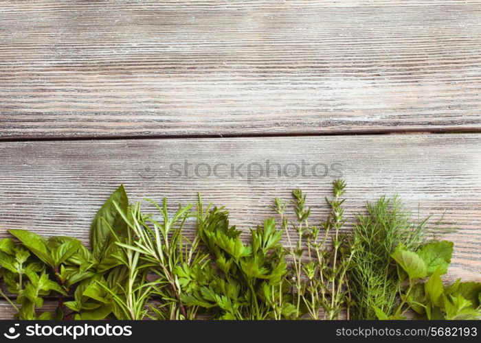 Fresh herbs on the wooden background with copy text