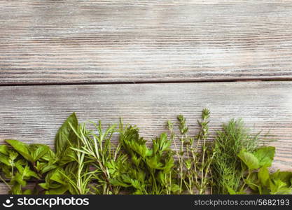 Fresh herbs on the wooden background with copy text