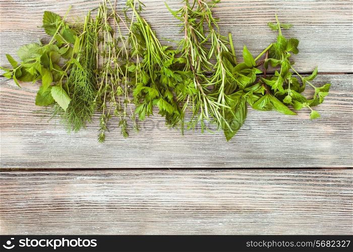 Fresh herbs on the wooden background with copy text