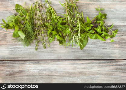 Fresh herbs on the wooden background with copy text