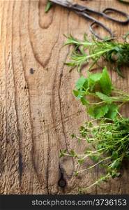 fresh herbs on wooden background