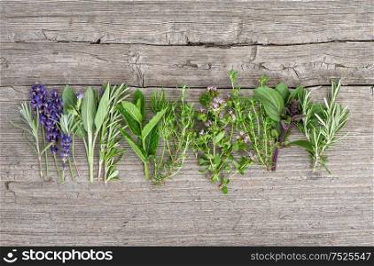 Fresh herbs on wooden kitchen table. Food background. Basil, rosemary, mint, sage, thyme, oregano, marjoram, savory, lavender