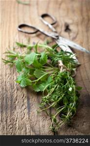 fresh herbs on wooden table