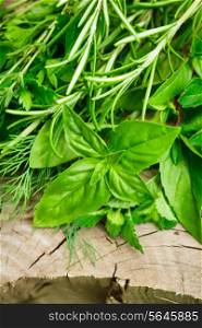 Fresh herbs outdoor on the wooden background