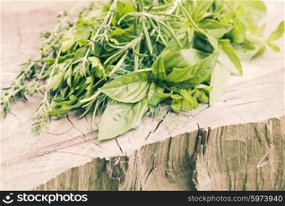 Fresh herbs outdoor on the wooden background. Fresh herbs