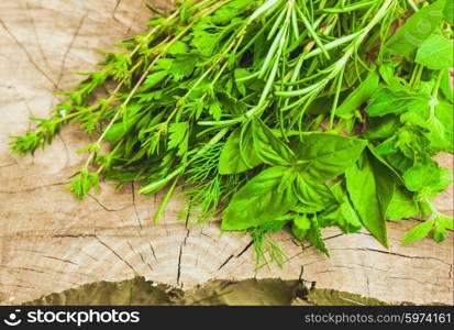 Fresh herbs outdoor on the wooden background. Fresh herbs