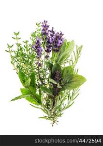 Fresh herbs rosemary, thyme, mint, basil, lavender. Food ingredients. Condiments. Spices