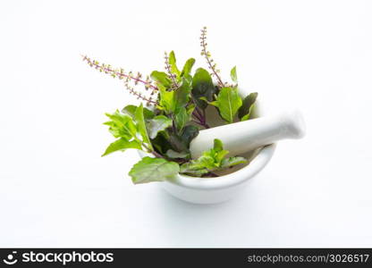 Fresh holy basil in mortar.