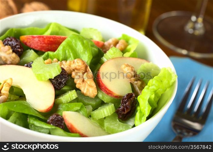 Fresh home-made delicious Waldorf Salad consisting of lettuce, apple, celery, walnuts, raisins and mayonnaise (Selective Focus, Focus on the middle of the salad) . Waldorf Salad