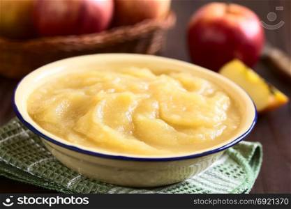 Fresh homemade apple sauce in bowl, photographed with natural light (Selective Focus, Focus one third into the apple sauce). Apple Sauce in Bowl