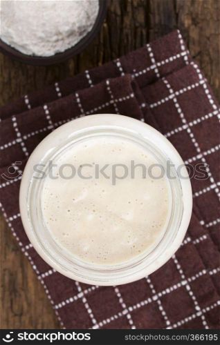 Fresh homemade bubbly sourdough starter, a fermented mixture of water and flour to use as leaven for bread baking, in glass jar with flour on the side, photographed overhead  Selective Focus, Focus on the top of the starter . Sourdough Starter