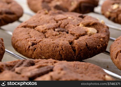 Fresh homemade chocolate cookies. Food: fresh homemade chocolate cookies on baking grill