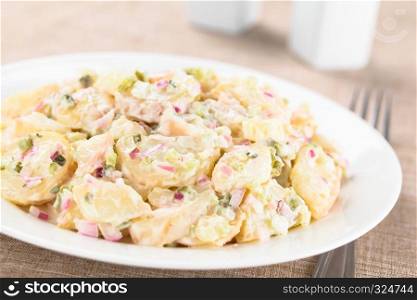 Fresh homemade vegetarian potato salad made with red onion, pickles, mayonnaise and mustard served on plate (Selective Focus, Focus in the middle of the image). Fresh Homemade Potato Salad
