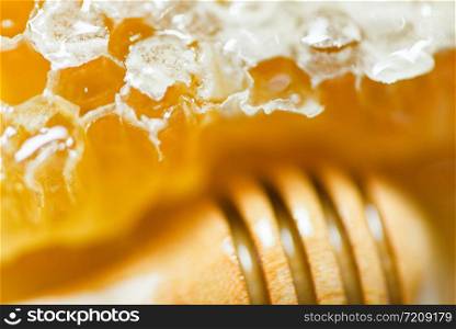 Fresh honey and wooden dipper honey / Close up macro of yellow sweet honeycomb natural healthy food