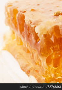 fresh Honeycomb and honey around. macro