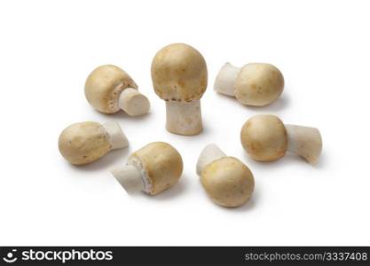 Fresh Horse Mushrooms on white background