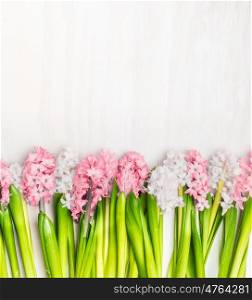 Fresh hyacinths flowers border on white wooden background, top view. Springtime concept