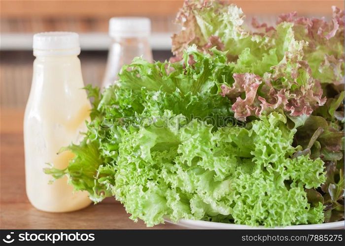 Fresh hydroponic vegetables on wooden table, stock photo