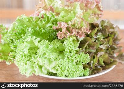 Fresh hydroponic vegetables on wooden table, stock photo