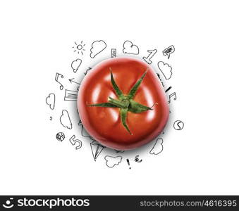 Fresh idea. Red tomato against background with business sketches