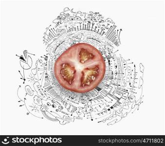 Fresh idea. Tomato half against background with business sketches