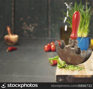 Fresh ingredients for cooking and mezzaluna on rustic background