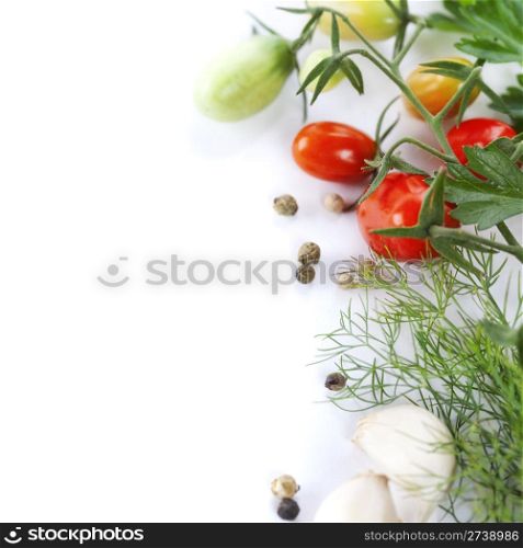 Fresh ingredients (tomato, garlic, pepper and dill) over white with copyspace