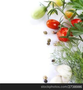 Fresh ingredients (tomato, garlic, pepper and dill) over white with copyspace