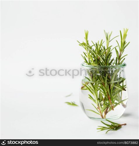 Fresh italian herbs in water on white background