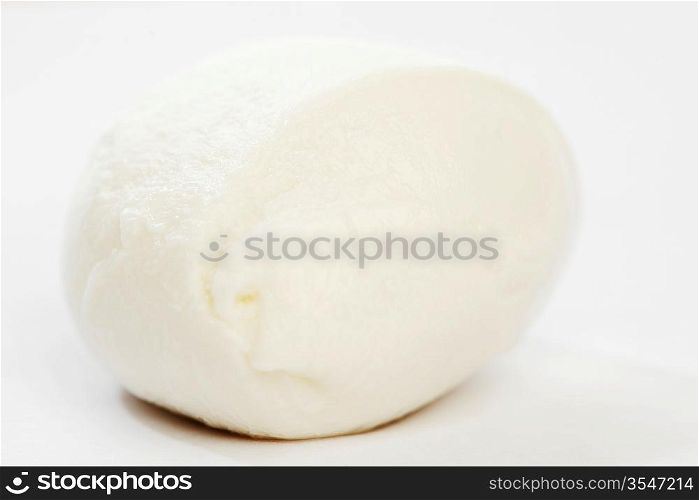 fresh italian mozzarella on white background