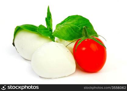 fresh italian mozzarella on white background
