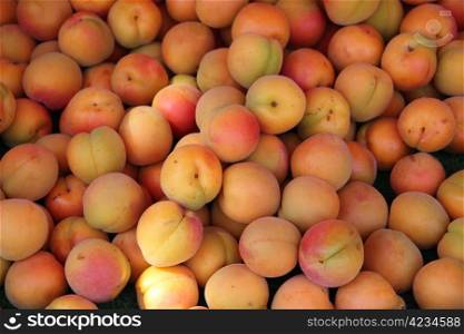 Fresh juicy apricots at a French market