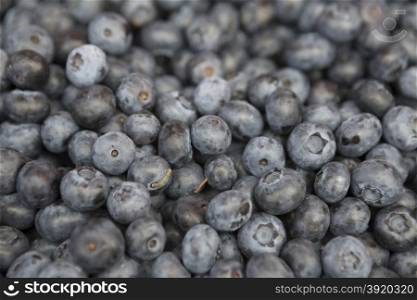 Fresh juicy blueberries on the market. Fresh juicy blueberries on the market.
