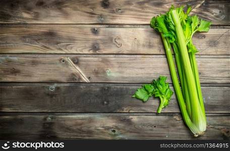 Fresh juicy celery. On wooden background. Fresh juicy celery.