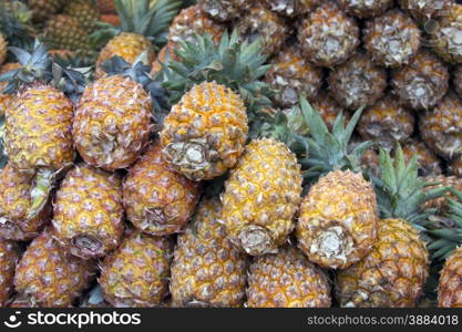 Fresh juicy pineapple on the market in India Goa. Fresh juicy pineapple on the market in India Goa.