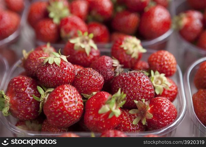 Fresh juicy strawberry on the market. Fresh juicy strawberry on the market.
