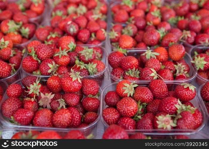 Fresh juicy strawberry on the market. Fresh juicy strawberry on the market.