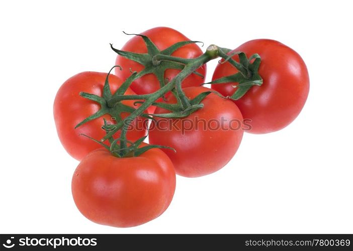 fresh juicy tomatoes. great image of some yummy fresh ripe juicy tomatoes
