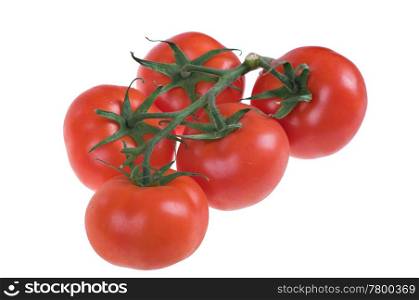 fresh juicy tomatoes. great image of some yummy fresh ripe juicy tomatoes