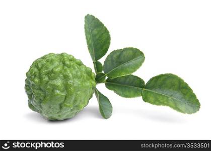 Fresh kaffir lime with leaf isolated on white background