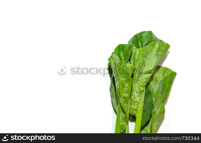 Fresh kale on a white background