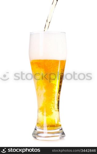 fresh lager beer is pouring into glass, cut out from white