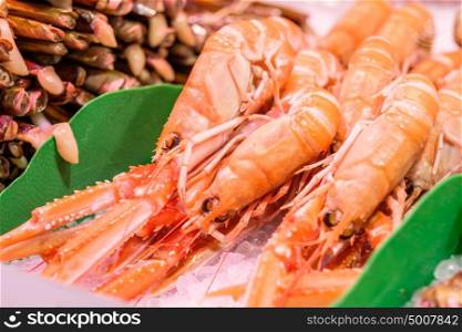 Fresh langoustines and razor clams at seafood market