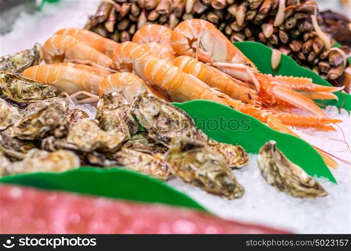 Fresh langoustines, razor clams and oysters at seafood market